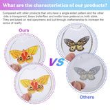 Let's Resin Realistic Paper Butterflies & Moths – 46 Pcs for Resin Crafts, view 5
