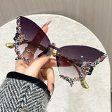 Litlookz Studio Butterfly Sunglasses, view 3
