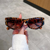 Litlookz Studio Vintage Cat Eye Sunglasses, view 4