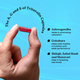 Mars By GHC Mars Triterolin – Powered by Shilajit, Ashwagandha, Safed Musli, Gokshura, view 6