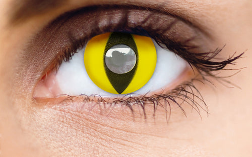 Misaki Cosmetics Cat Eyes
