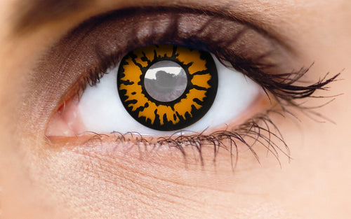 Misaki Cosmetics Tiger Eyes