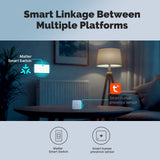 Moes Matter WiFi Smart Light Button Switch App Control Neutral Wire Required US Standard, view 4