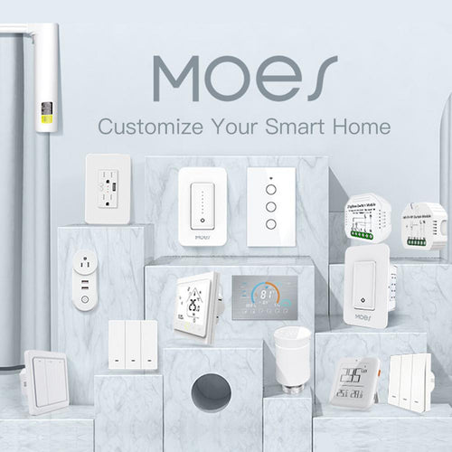 Moes Smart Home Solutions Customization