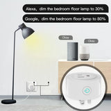 Moes WiFi Smart Power Socket Plug Brightness Adjust Timer Plug US, view 5