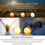 MOES WiFi Smart Clock Wake Up 7 Colors Light Natural Sound Clock With FM Radio, view 2