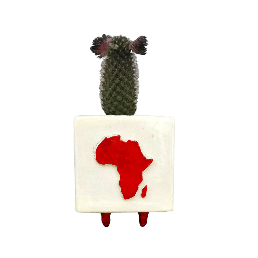 MyTindy Africa pot with relief pattern