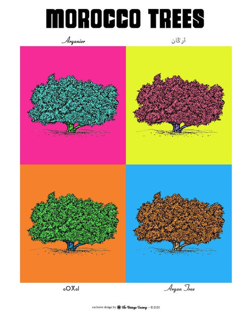 MyTindy ARGAN TREE Botanical board version POP