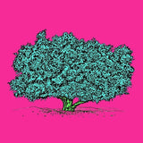 MyTindy ARGAN TREE Botanical board version POP, view 3