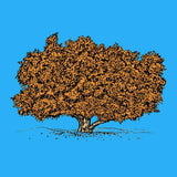 MyTindy ARGAN TREE Botanical board version POP, view 4