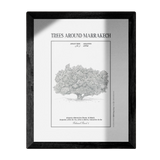 MyTindy ARGAN TREE Botanical board, view 3