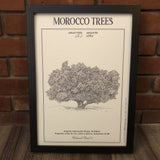MyTindy ARGAN TREE Botanical board, view 4