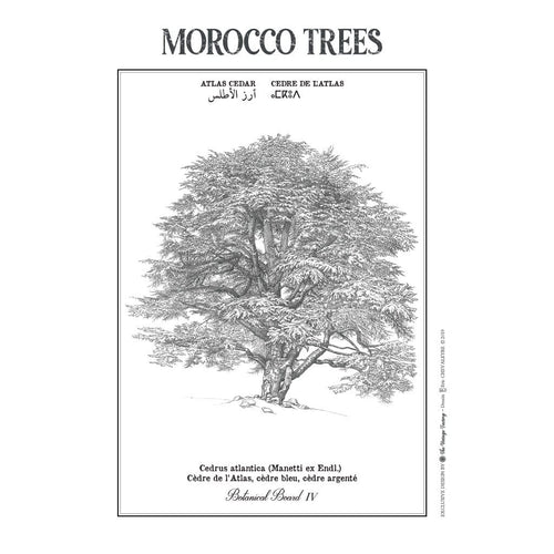 MyTindy ATLAS CEDAR Botanical board