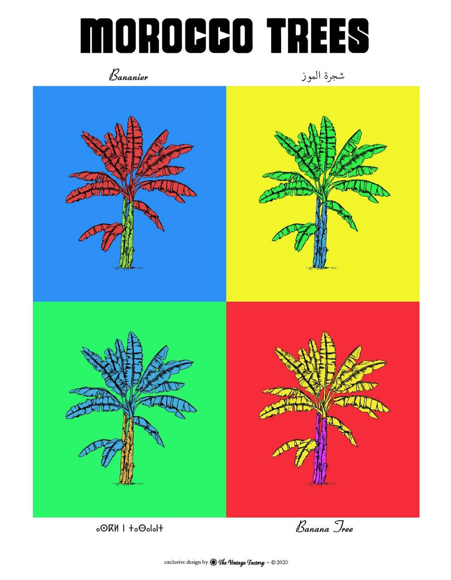 MyTindy BANANA TREE Botanical board version POP