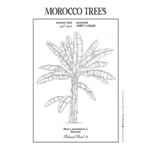 MyTindy BANANA TREE Botanical board