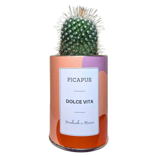 MyTindy DOLCE VITA CACTUS