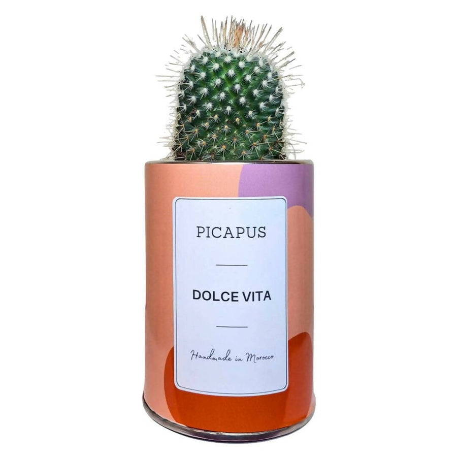 MyTindy DOLCE VITA CACTUS