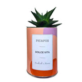 MyTindy DOLCE VITA CACTUS, view 2