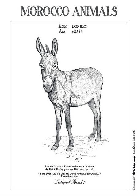 MyTindy DONKEY Poster