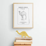 MyTindy Dromadaire A4 Botanical Board POSTER, view 2