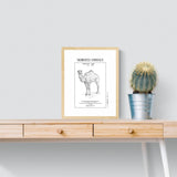 MyTindy Dromadaire A4 Botanical Board POSTER, view 3