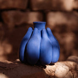 MyTindy Essaouira, view 3