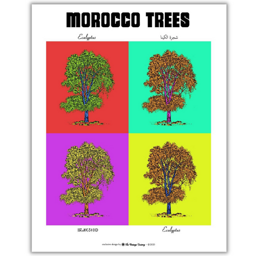 MyTindy EUCALYPTUS Botanical board version POP POSTER