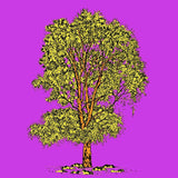 MyTindy EUCALYPTUS Botanical board version POP POSTER, view 2