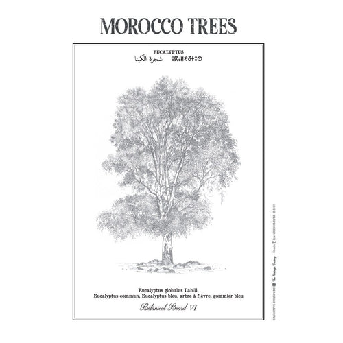 MyTindy EUCALYPTUS Botanical Board Poster