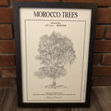 MyTindy EUCALYPTUS Botanical Board Poster, view 3