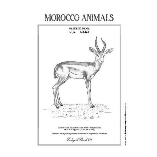 MyTindy GAZELLE DAMA POSTER