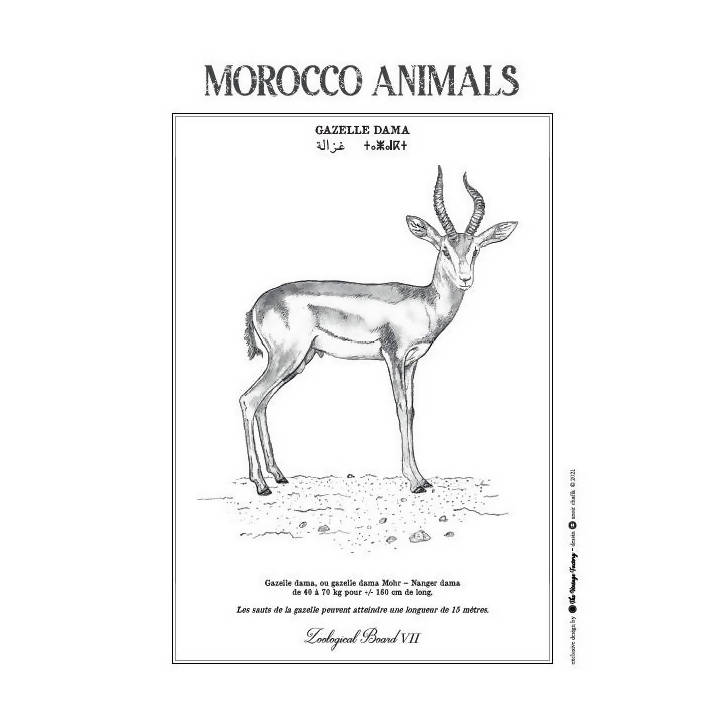 MyTindy GAZELLE DAMA POSTER