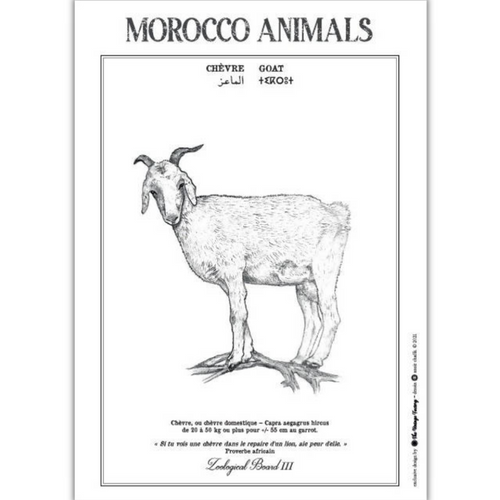 MyTindy GOAT POSTER