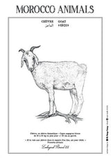 MyTindy GOAT POSTER, view 3