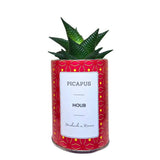 MyTindy HOUB Cactus, view 2