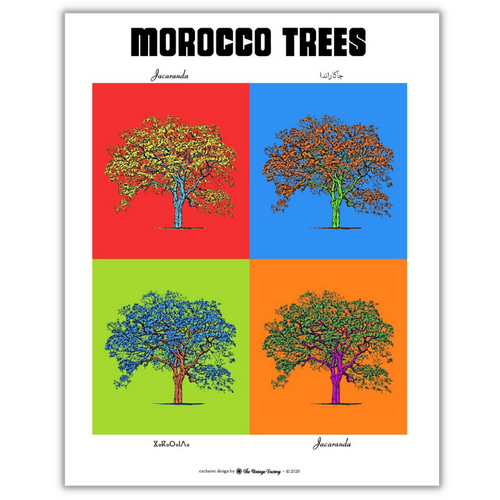 MyTindy JACARANDA Botanical board version POP POSTER
