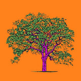MyTindy JACARANDA Botanical board version POP POSTER, view 4