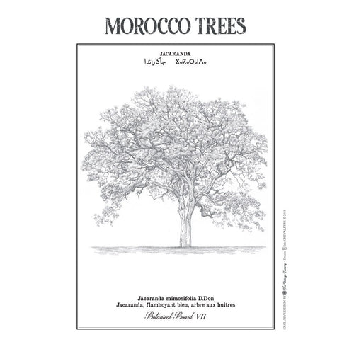 MyTindy JACARANDA Botanical board POSTER