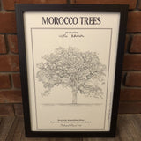 MyTindy JACARANDA Botanical board POSTER, view 3