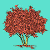MyTindy LEMON TREE Botanical board version POP POSTER, view 5
