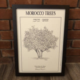 MyTindy LEMON TREE Botanical board POSTER, view 3