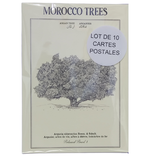 MyTindy LOT OF 10 POSTCARDS - Botanical boards POSTERS