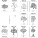 MyTindy LOT OF 10 POSTCARDS - Botanical boards POSTERS, view 2