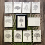 MyTindy LOT OF 10 POSTCARDS - Botanical boards POSTERS, view 3