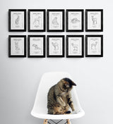MyTindy Lot of 10 postcards of the zoological plates POSTERS, view 2