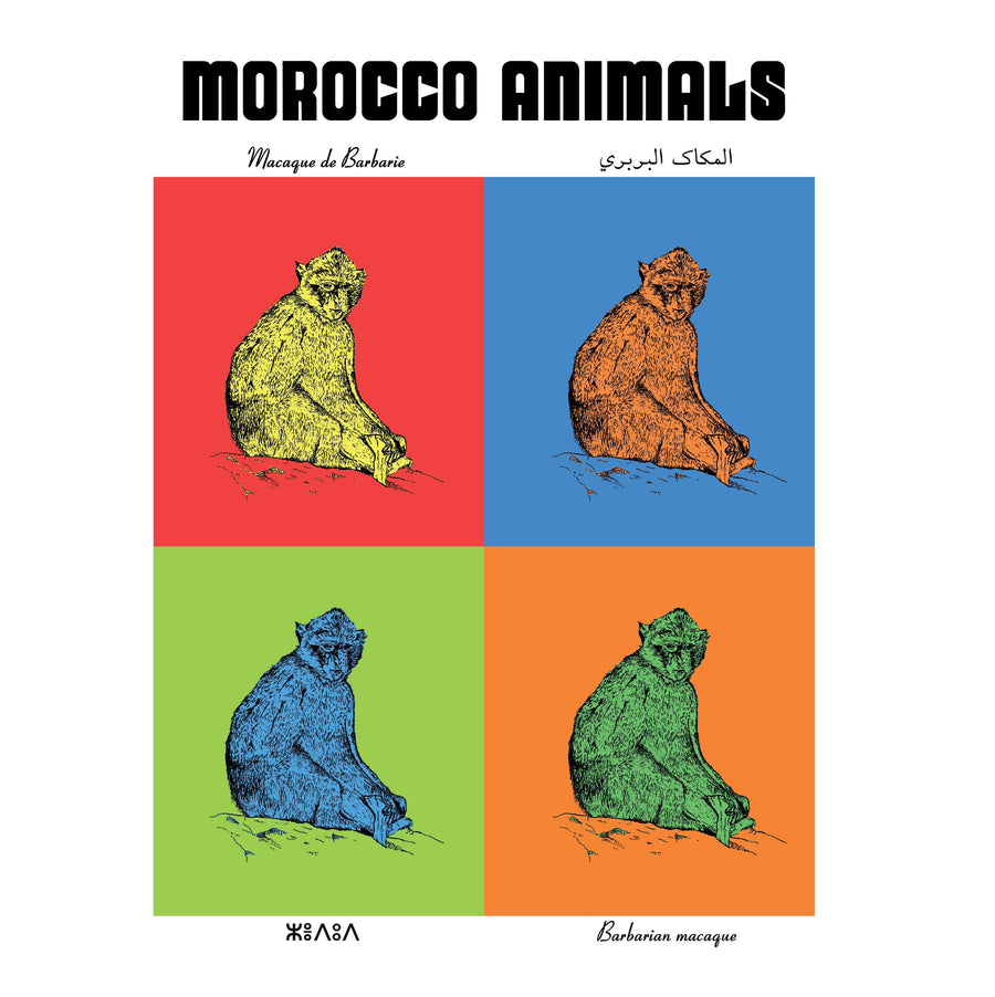 MyTindy Macaque version POP POSTER