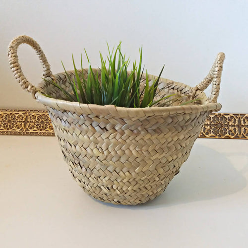 MyTindy Mini Straw Pot for Plants