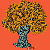MyTindy OLIVE TREE Botanical board version POP Poster, view 5