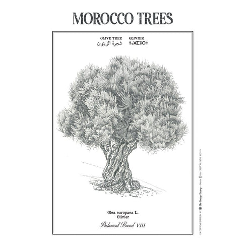 MyTindy OLIVE TREE Botanical board Poster