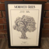 MyTindy OLIVE TREE Botanical board Poster, view 3